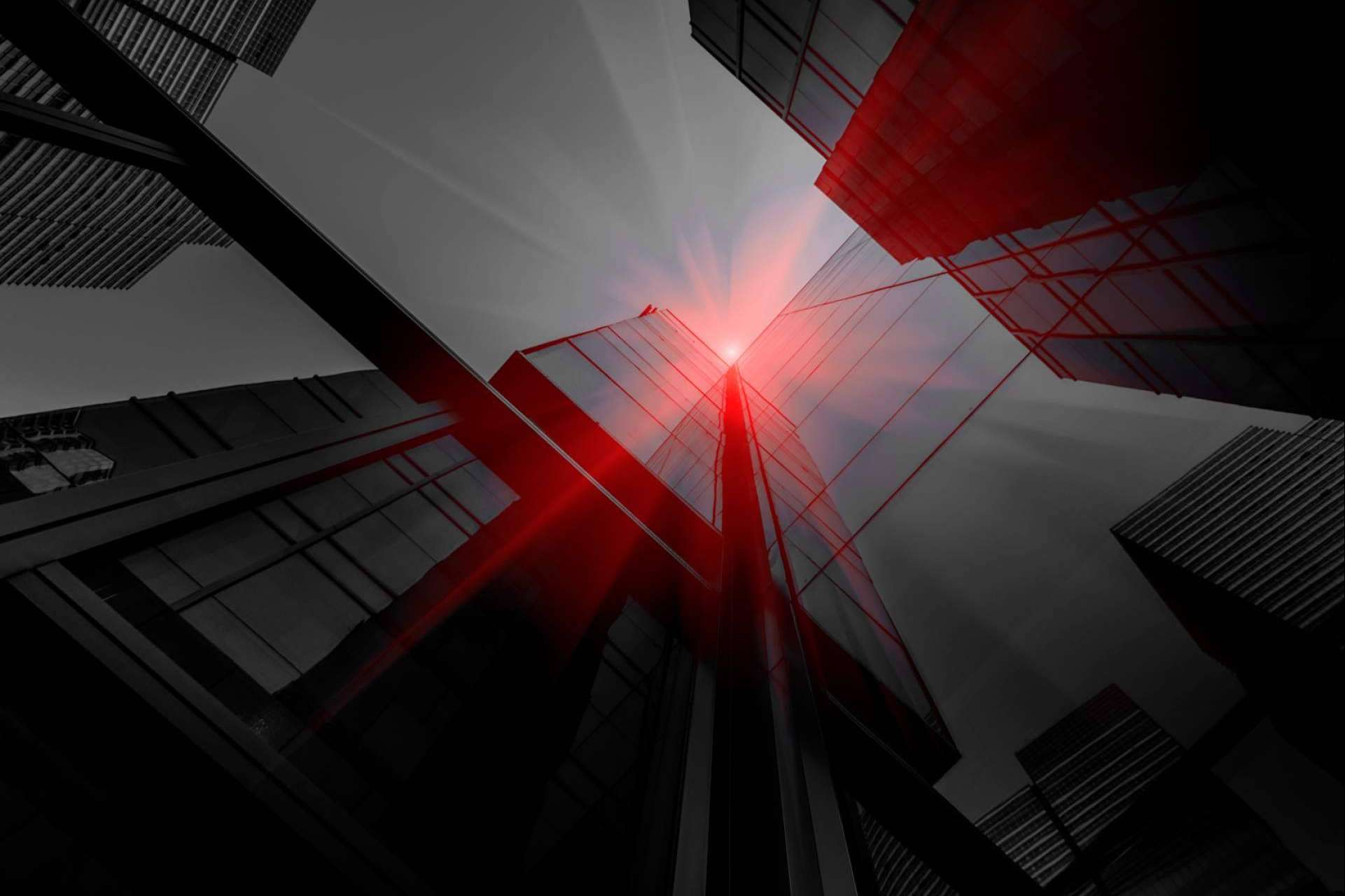 XP Group Business Network, la plataforma para desarrollar cualquier negocio