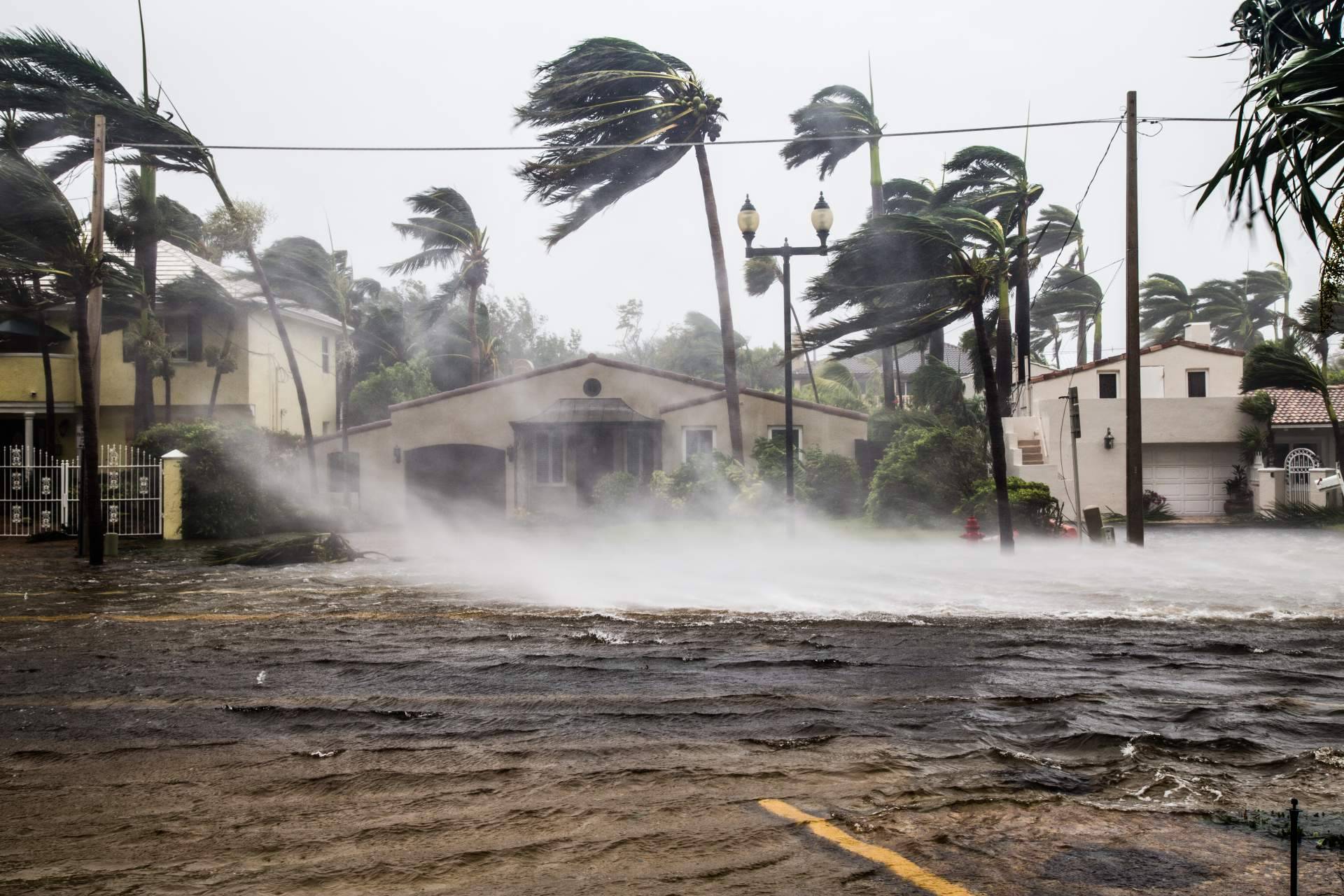 Las características de El Niño y los principales motivos por los cuales los expertos están hablando de él, de la mano de Noticias Ambientales