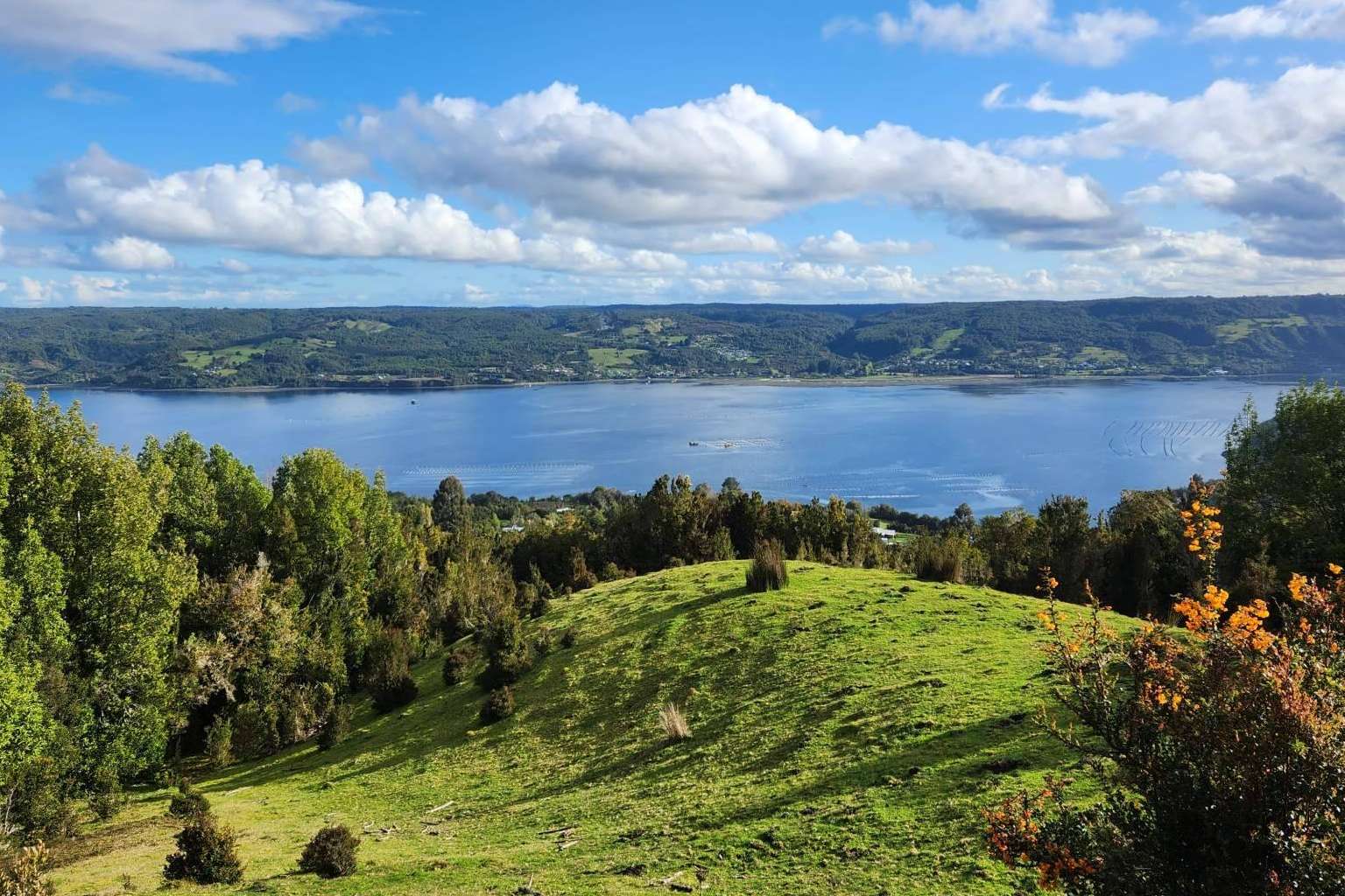 Uno de los grandes pioneros en la venta de proyectos de parcelas en el sur de Chile es Latitudes Australes
