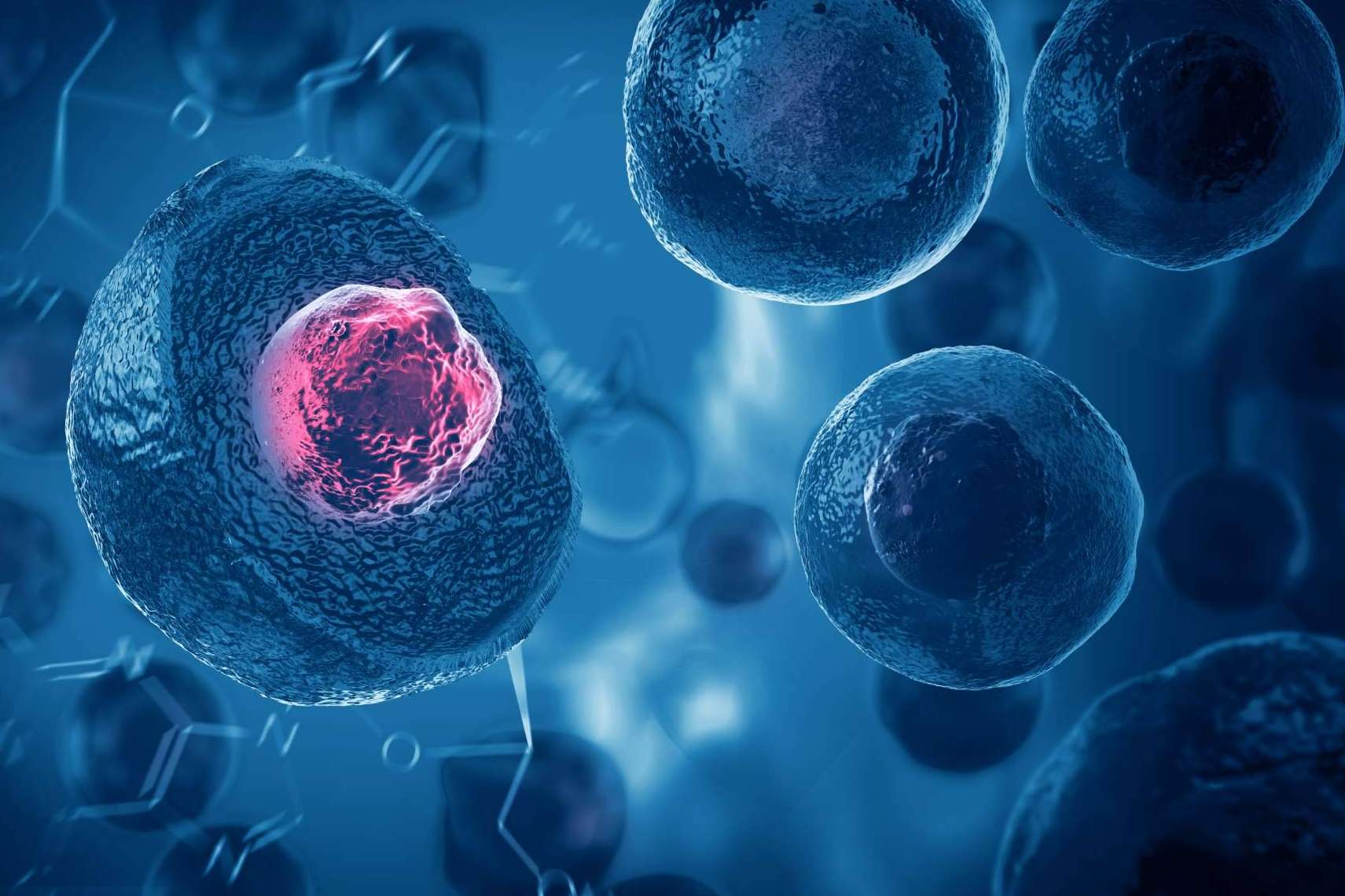Formación integral sobre exosomas en el campo de la medicina antienvejecimiento y regenerativa