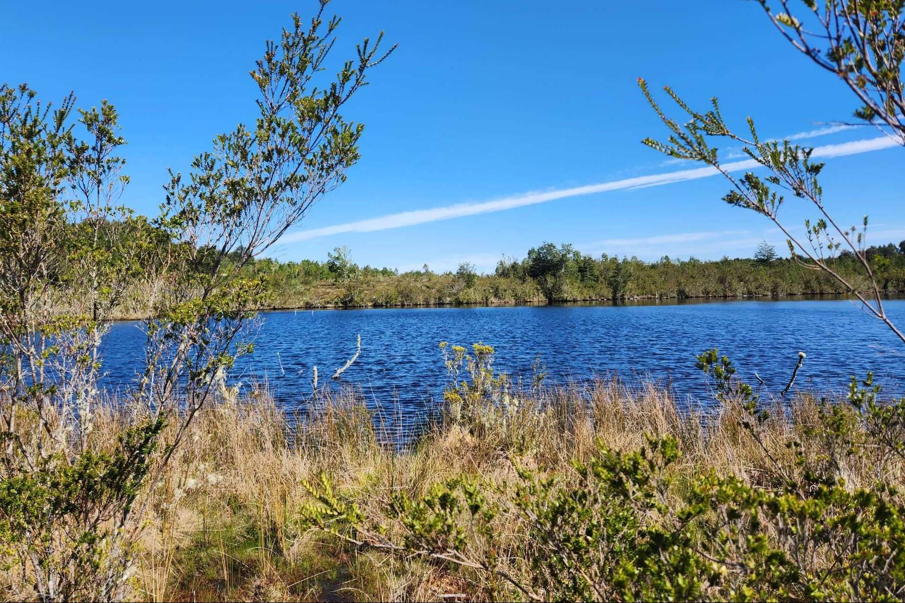 Los proyectos de parcelas de la empresa Latitudes Australes permiten disfrutar de la tranquilidad y la belleza de Chiloé