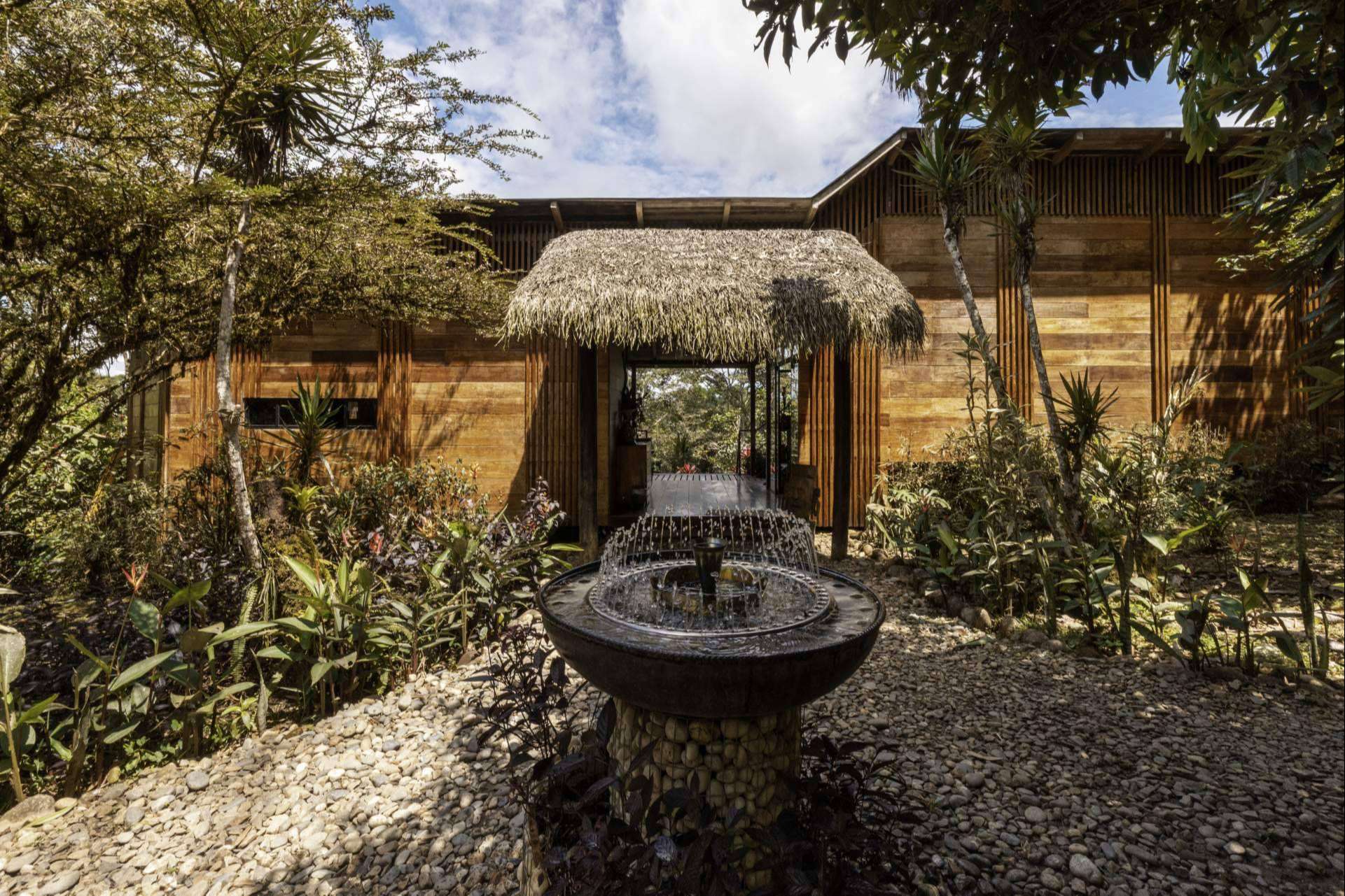 Hamadryade Lodge organiza actividades para explorar el Amazonia