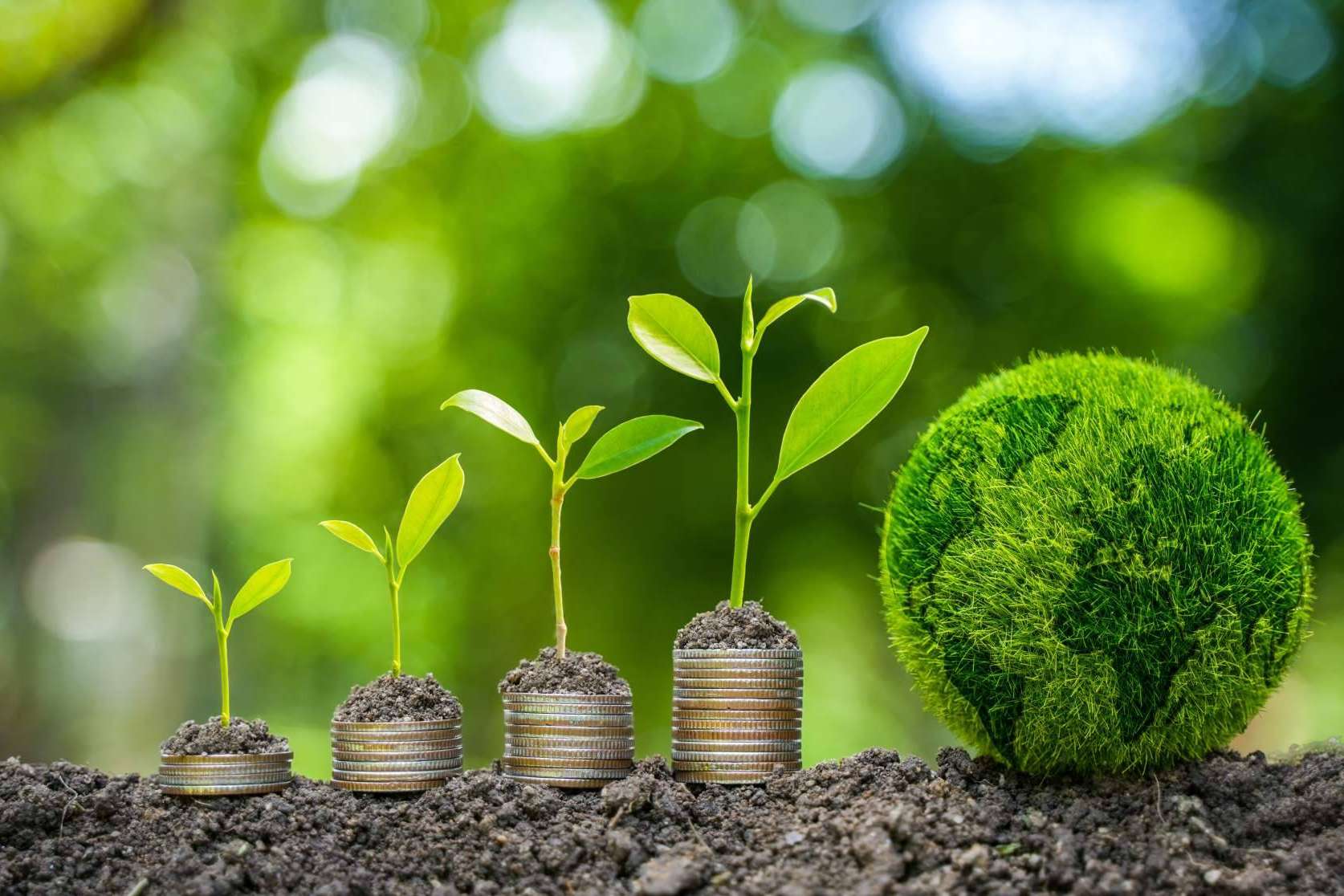 Apostar por un concepto como el de financiación sostenible con Grupo Promerica