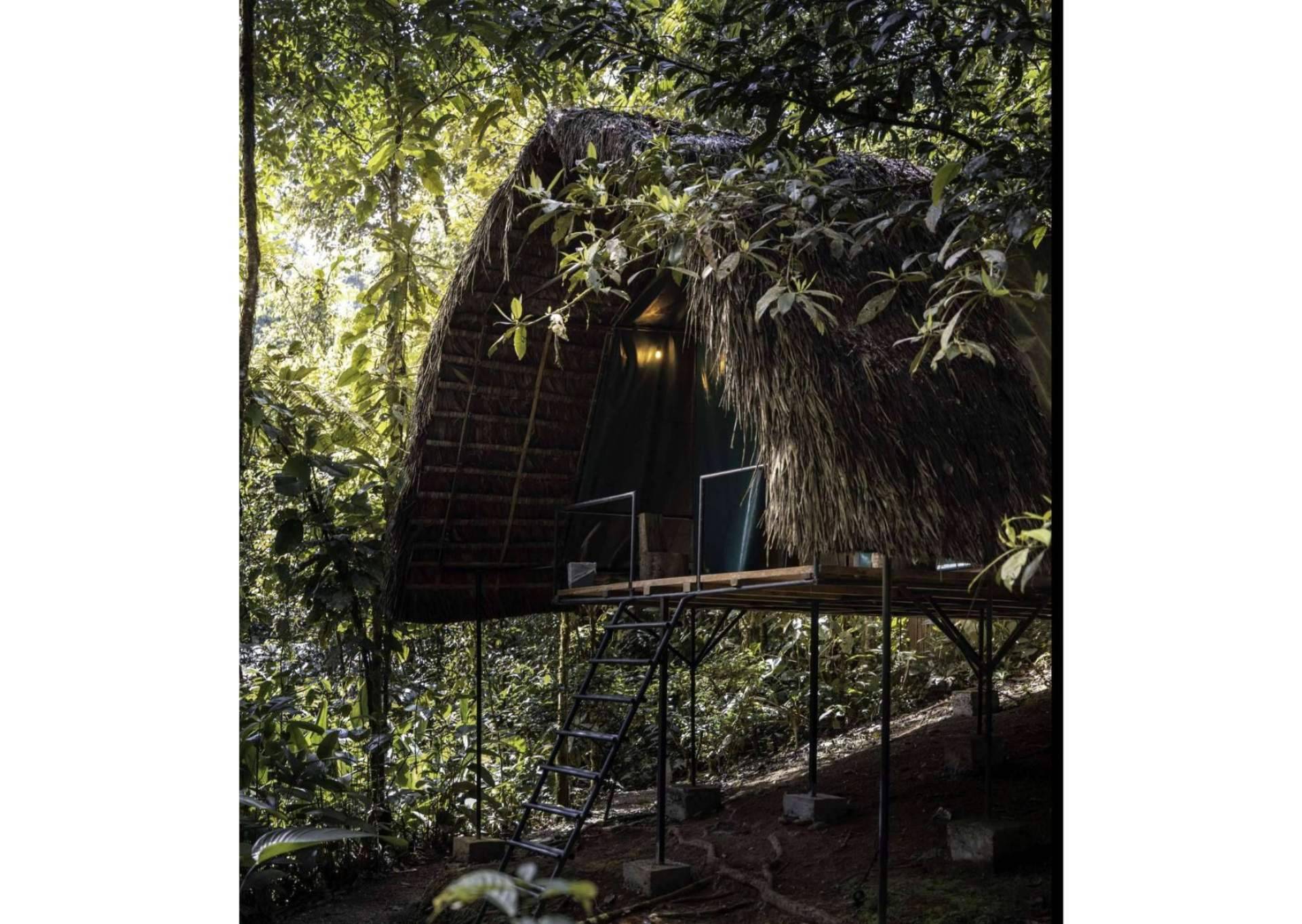 Disfrutar de la naturaleza de la Amazonía ecuatoriana con las tiendas de glamping de Hamadryade Lodge