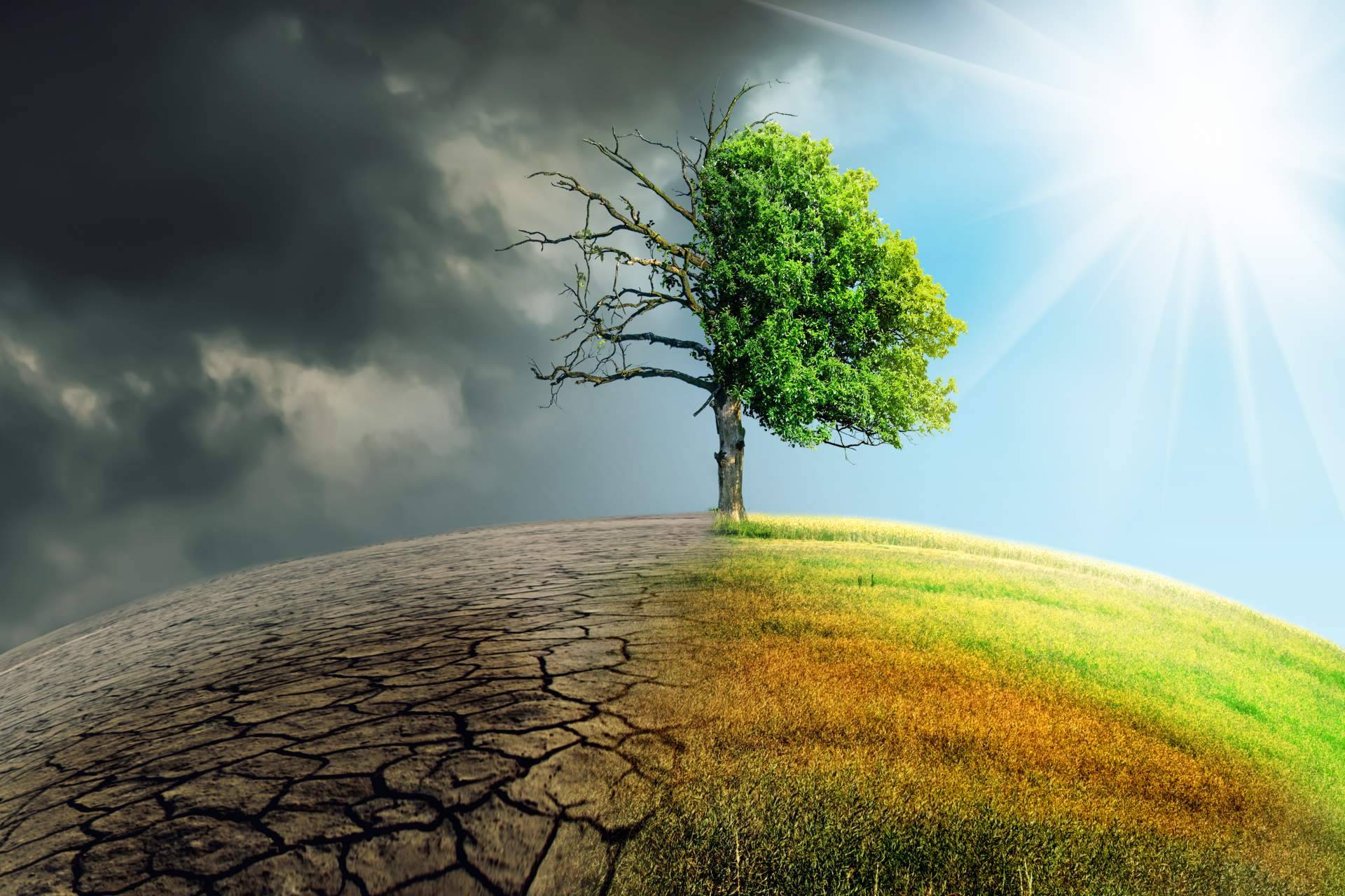 Maniano Aveledo opina sobre el impacto del cambio climático en la economía mundial
