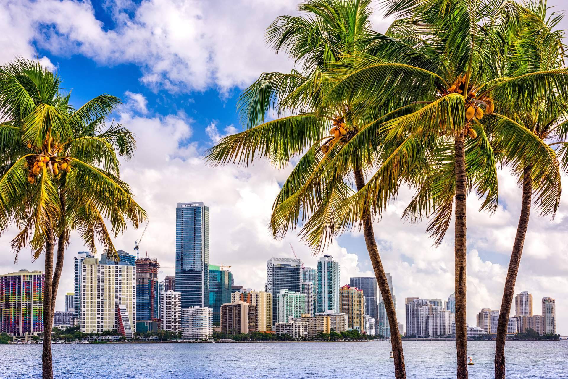 Conocer las tendencias más recientes de propiedades en Miami, de la mano de UTG Miami