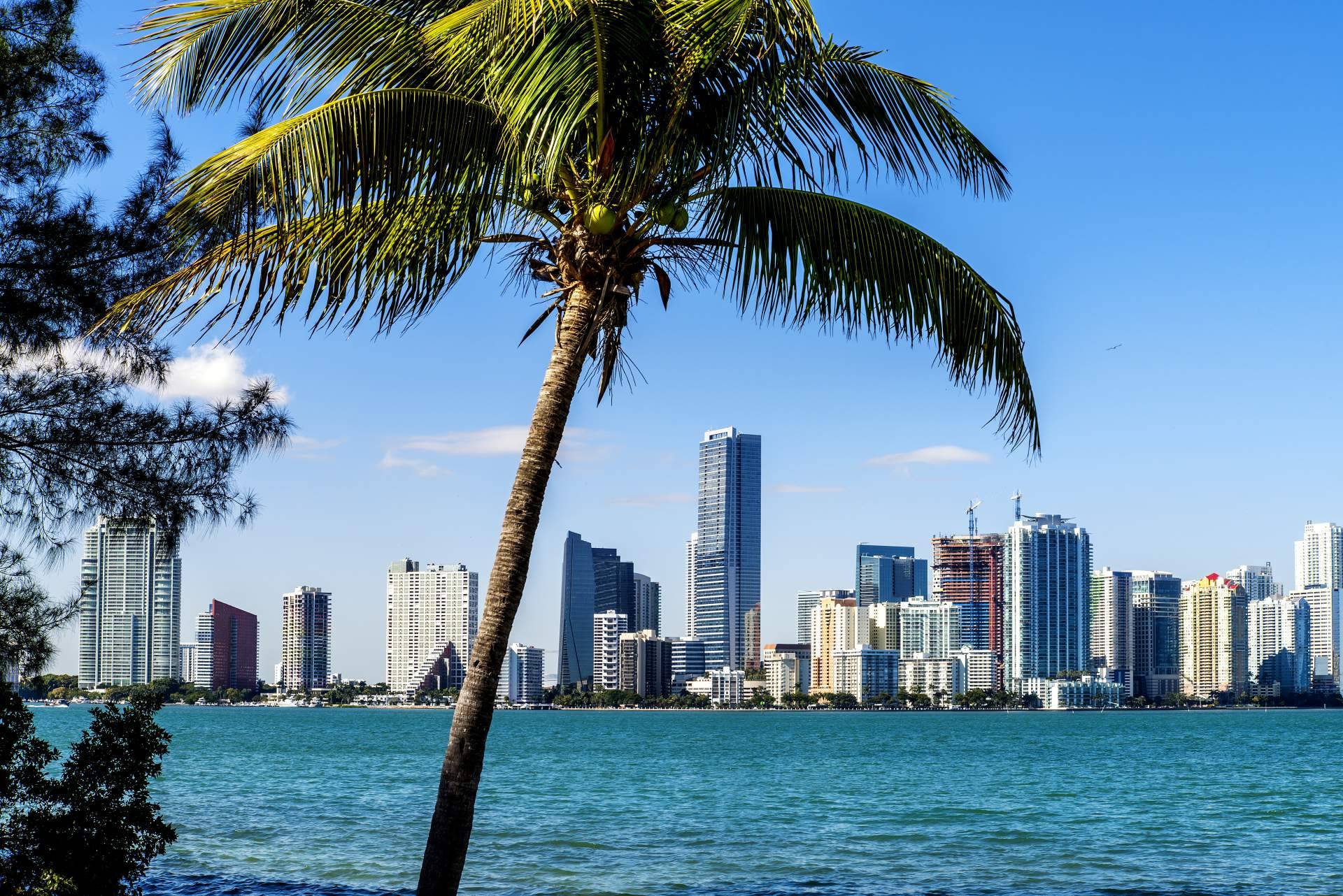 UTG Miami despliega asesoría y acompañamiento permanente para la compraventa de apartamentos en Miami