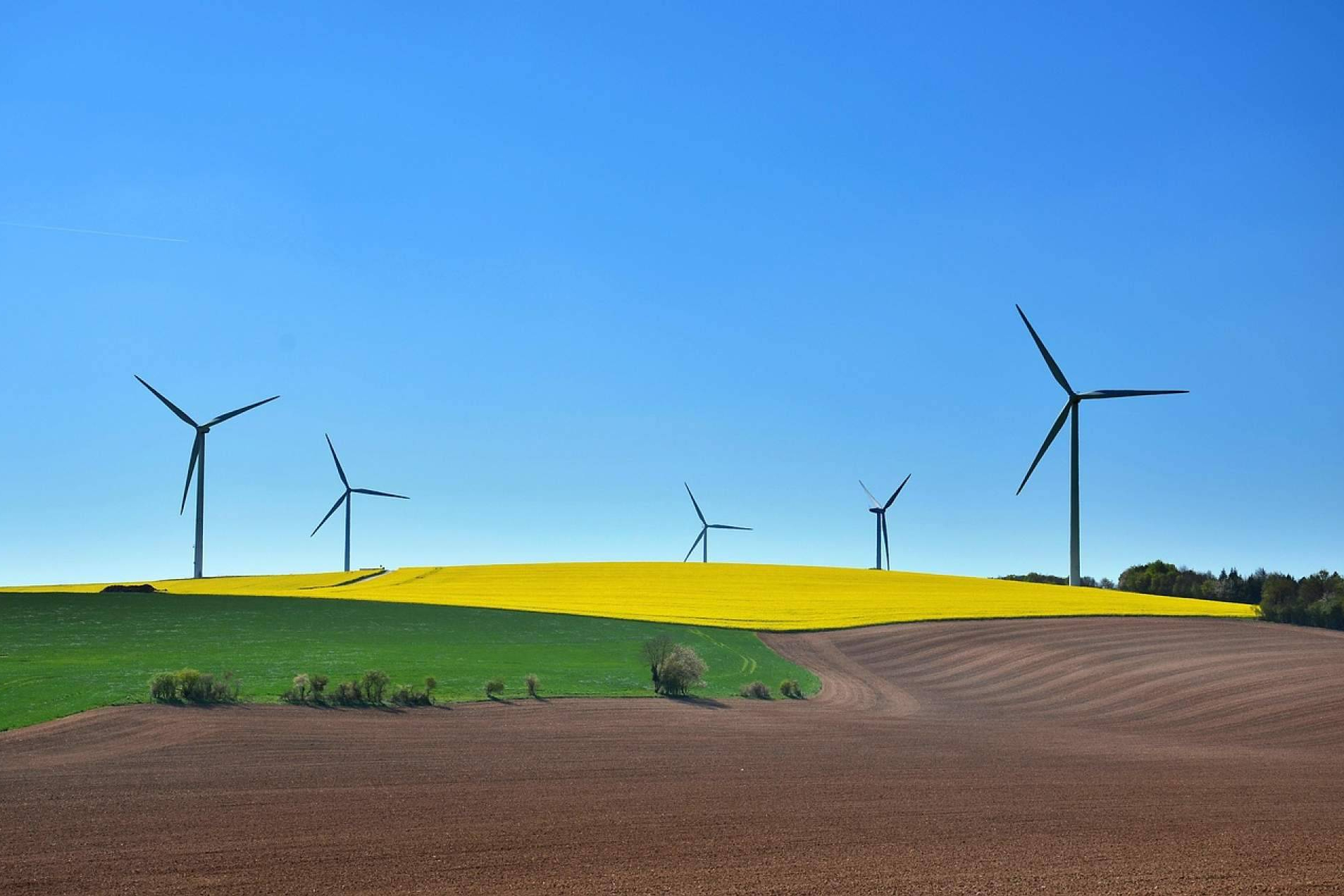 La UPM y OAC lanzan el Máster en Acción Climática y Huella de Carbono para el año lectivo 2025/26